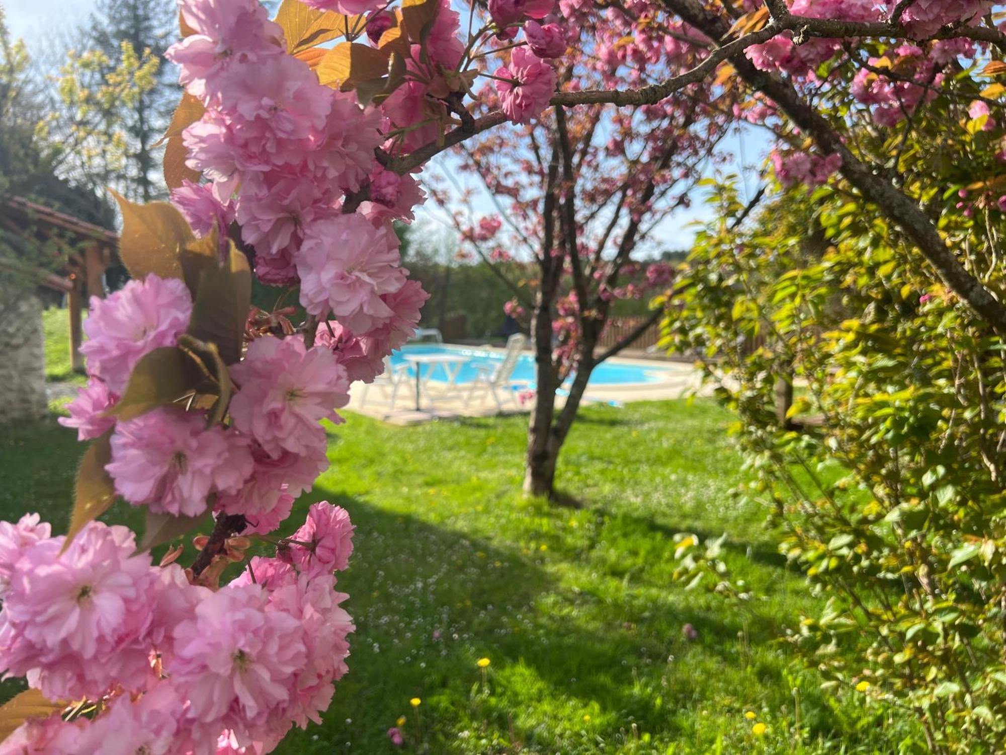 Entire Apartment With Swimming Pool Near Aubeterre Saint-Romain  Exterior foto